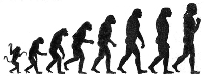 Die Synthetische Evolutionstheorie