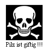 Warnung: Der Fliegenpilz ist giftig!