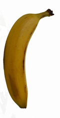 Die Banane