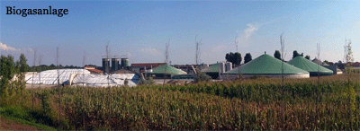 Biogas