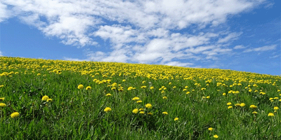 Frühling