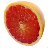 Die Grapefruit