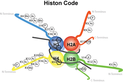 Histon Code