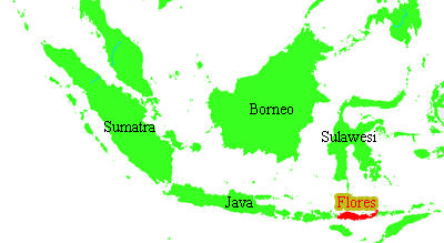 Karte von Indonesien zum Verbreitungsgebiet des Homo floresiensis