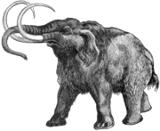 Mammut