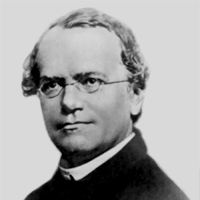 Gregor Mendel