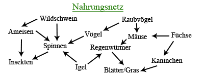 Beispielhaftes Nahrungsnetz in einem terrestrischen kosystems