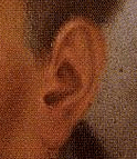 Wie ist das menschliche Ohr aufgebaut?