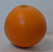 Die Orange