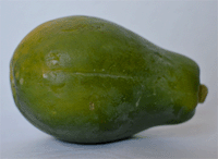 Die Papaya